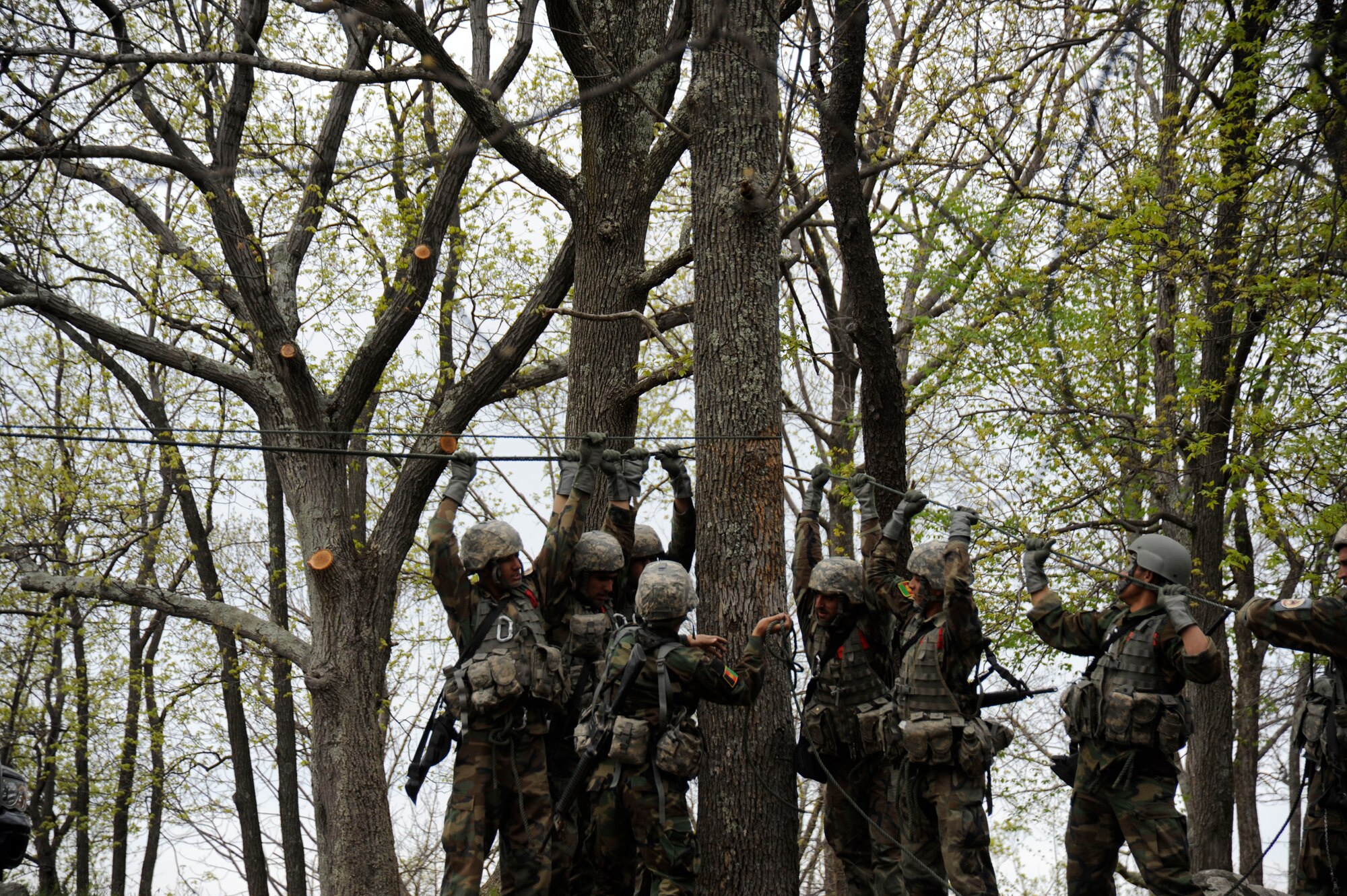 Afghan cadets work together to construct a rope bridge during training April 18, 2012, for the  2012 Sandhurst Competition at the U.S. Military Academy in West Point, N.Y. Cadets from military academies and colleges from around the world were invited to participate. (U.S. Air Force photo/Tech. Sgt. Mareshah Haynes)