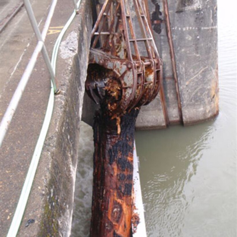 Spring rains can wash branches, limbs and trees into tributaries that find their way into the Columbia River.  The Corps’ dams have bypass systems designed to keep these and other floating hazards safely away from turbines.  It’s unusual to see large trees pass the dam, so engineers were surprised to find a 60-foot tree with its rootball still attached, stuck in the bypass system.  With the help of a crane, workers were able to safely extract the estimated 25,000-pound, nearly 6-foot diameter behemoth.  After it was free, the tree was cut into smaller sections before workers allowed it to continue its travel to the sea.