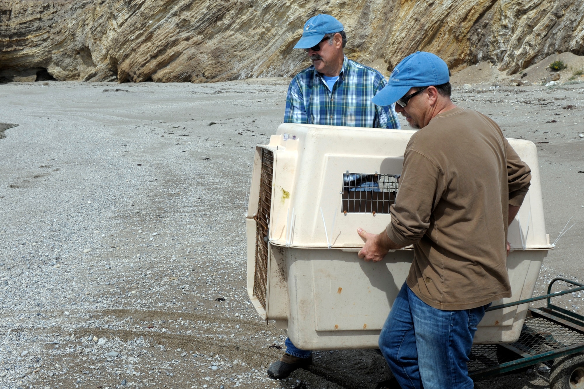 VANDENBERG AIR FORCE BASE, Calif. -- Peter Howorth and Paul Stark of the Santa Barbara Marine Mammal Center carry a rescued Northern Californian Elephant Seal to the water’s edge at a remote beach here, Tuesday, April 24, 2012. The Santa Barbara Marine Mammal Center rescues, rehabilitates and releases  trapped and endangered marine mammals along the California’s Central Coast.  (U.S. Air Force photo/Jerry E. Clemens Jr.)