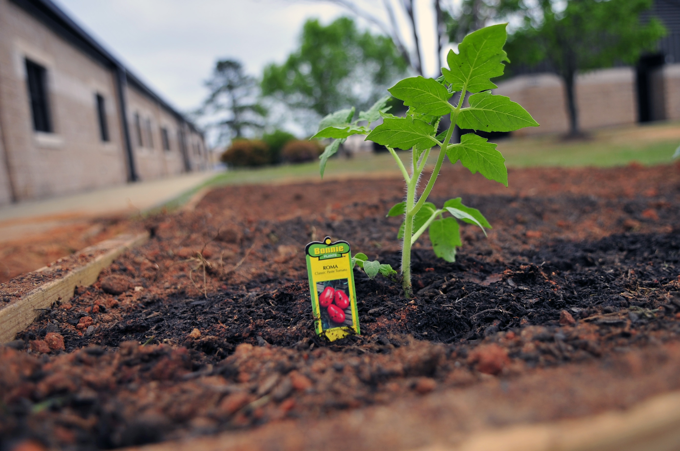 Earth Day garden