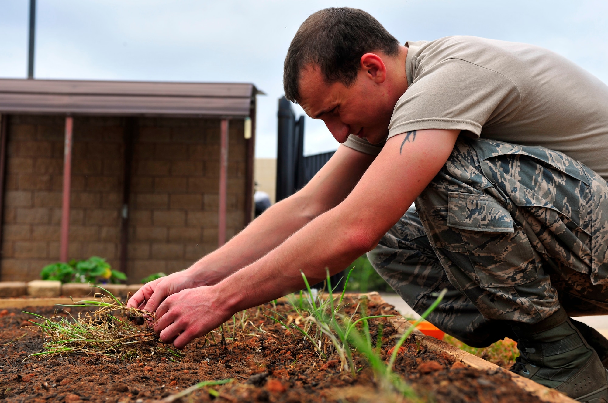 Airman 1st Class Richard Eickholt, 28th Operational Weather Squadron forecaster, plants seeds in a garden as part of his squadron’s observance of Earth Day at Shaw Air Force Base, S.C., April 20, 2012. The produce from their garden will later be used in a fall festival. (U.S. Air Force photo by Senior Airman Daniel Phelps/ Released)