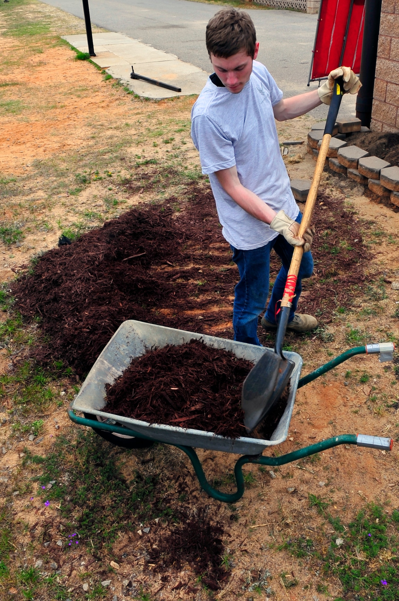 Airman 1st Class Colin McCarthy, 28th Operational Weather Squadron forecaster, shovels mulch into a wheelbarrow to take to another garden area at Shaw Air Force Base, S.C., April 20, 2012. The 28th OWS decided to plant a garden in honor of the Air Force’s observance of Earth Day. The produce from their garden will later be used in a fall festival. (U.S. Air Force photo by Senior Airman Daniel Phelps/ Released)