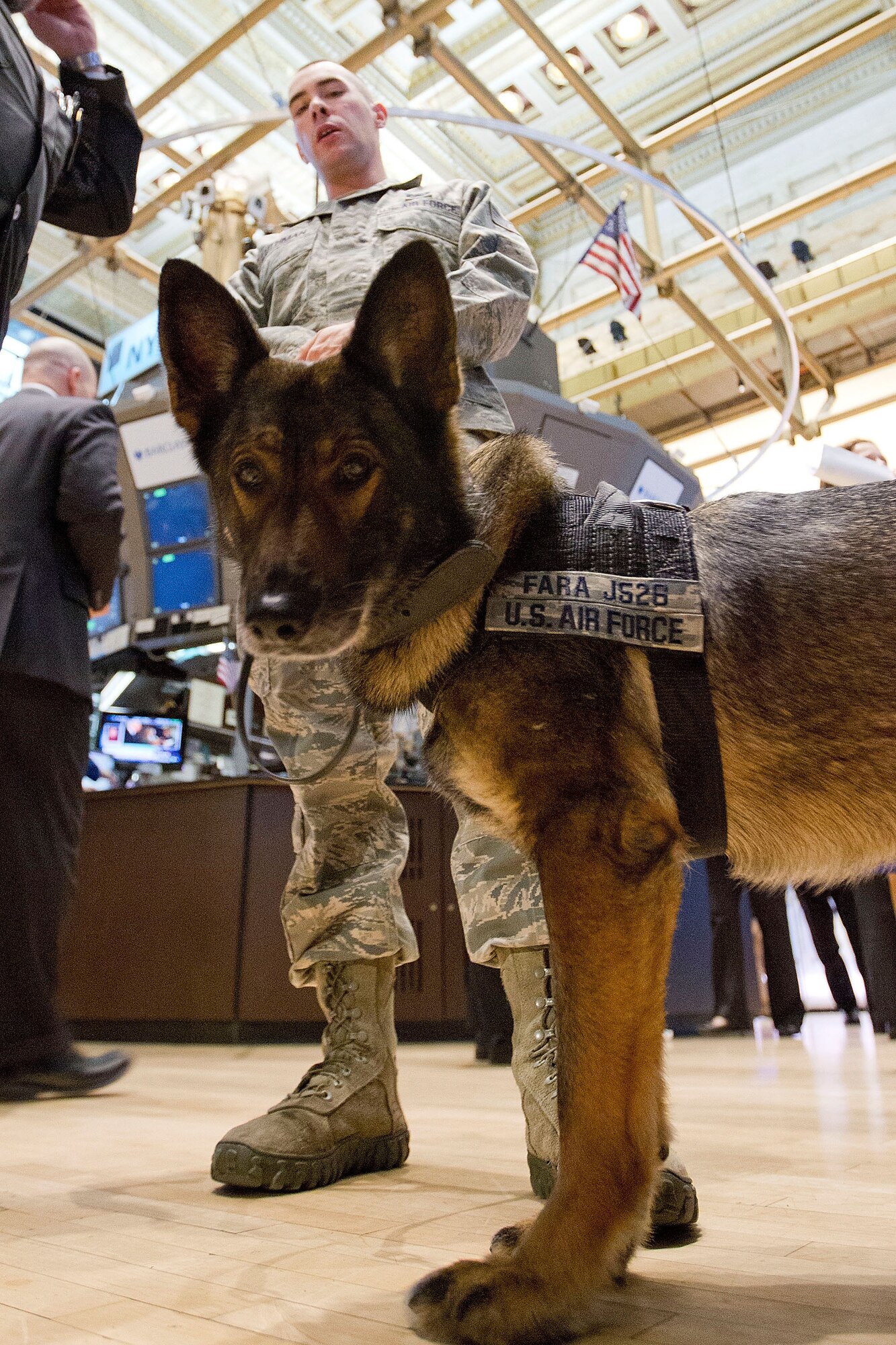 Military Working Dog Fara, an 8 year-old German Shepherd, and her handler, Staff Sgt. Kyle T. Luthman visit the New York Stock Exchange April 18 in New York City. Both Luthman and Fara are from the 87th Security Forces Squadron out of Joint Base McGuire-Dix-Lakehurst. Fara, who recently returned from a deployment in Afghanistan, is set to medically retire later this year and will be adopted by Luthman. (U.S. Air Force Courtesy Photo/Released)