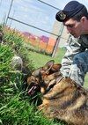 MINOT AIRFORCE BASE, N.D.  - - Tech. Sgt. Mark Jenner,  5th Security Forces Squadron dog handler, commands MWD Kitty 7, into a tunnel during obedience training, here April 24. In addition to training the dogs to follow instructions, the obedience course also helps the handlers to evaluate the speed, agility and endurance of their canines. (U.S. Air Force photo by Senior Airman Desiree W. Esposito)