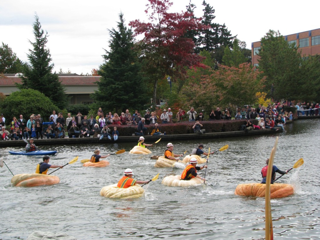 Portland District volunteers raced in the Eighth Annual Tualatin Pumpkin Regatta on Oct. 22, 2011. The eight volunteers, all from the Engineering and Construction Branch, raced Tualatin Valley Fire and Rescue. Each team had four pumpkins, and paddled there-and-back in a two-wave relay. A close race, the victory this year was the third consecutive win for the Portland District team.