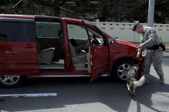 U.S. Air Force Tech. Sgt. Michael Stevens, 35th Security Forces Squadron K-9 handler, leads his military working dog Karo around a vehicle during an operational readiness exercise at Misawa Air Base, Japan, April 28, 2012. The exercise scenario helped prepare 35 SFS Airmen to engage dangerous and unpredictable situations that require immediate law enforcement actions. (U.S. Air Force photo by Tech. Sgt. Marie Brown/Released)