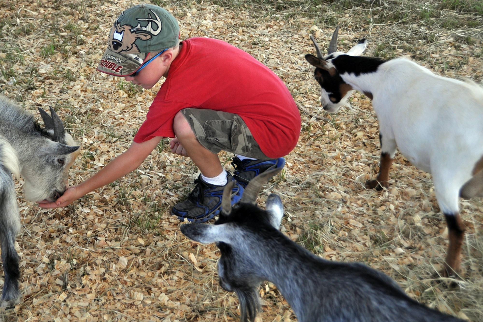 Carter Crews, a 5-year-old from Lufkin, Texas, feeds some of animals in the petting zoo at the Great Texas Balloon Race 2012, at the East Texas Regional Airport in Longview, Texas, July 28, 2012. Food and craft vendors displayed their merchandise in a midway like area for those who attended the event. (U.S. Air Force photo by Master Sgt. Jeff Walston) 