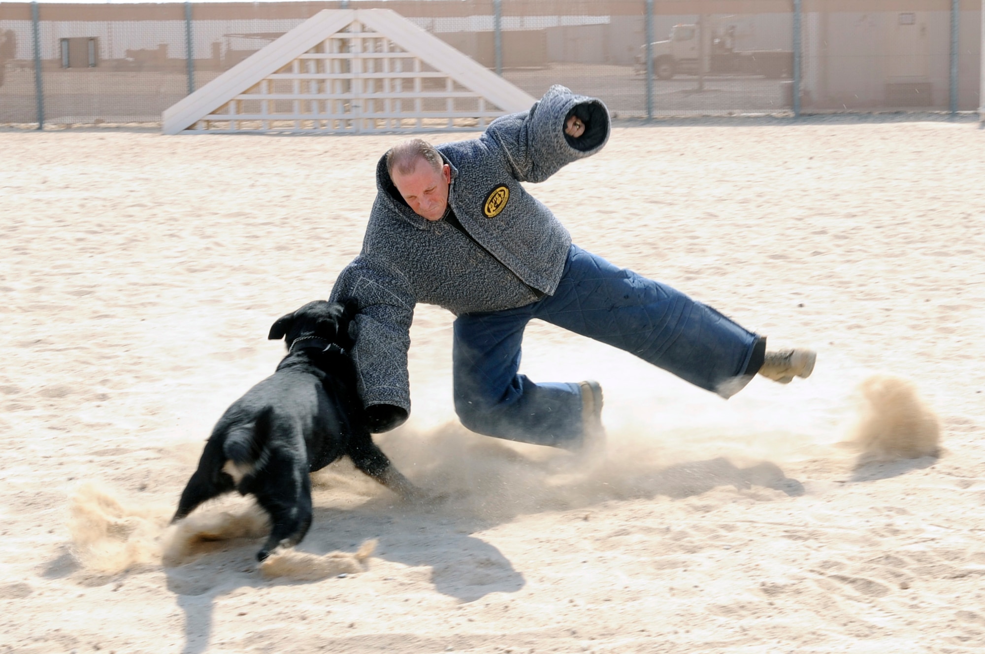 SOUTHWEST ASIA – Chief Master Sgt. Dennis Daubert, 386th Air Expeditionary Wing command chief, is taken down by the 386th Expeditionary Security Forces Squadron, military working dog, Don, here July 28. Daubert put on protective gear to become a mock victim to train the MWDs on procedures and obedience. (U.S. Air Force photo/Staff Sgt. Alexandra M. Boutte)