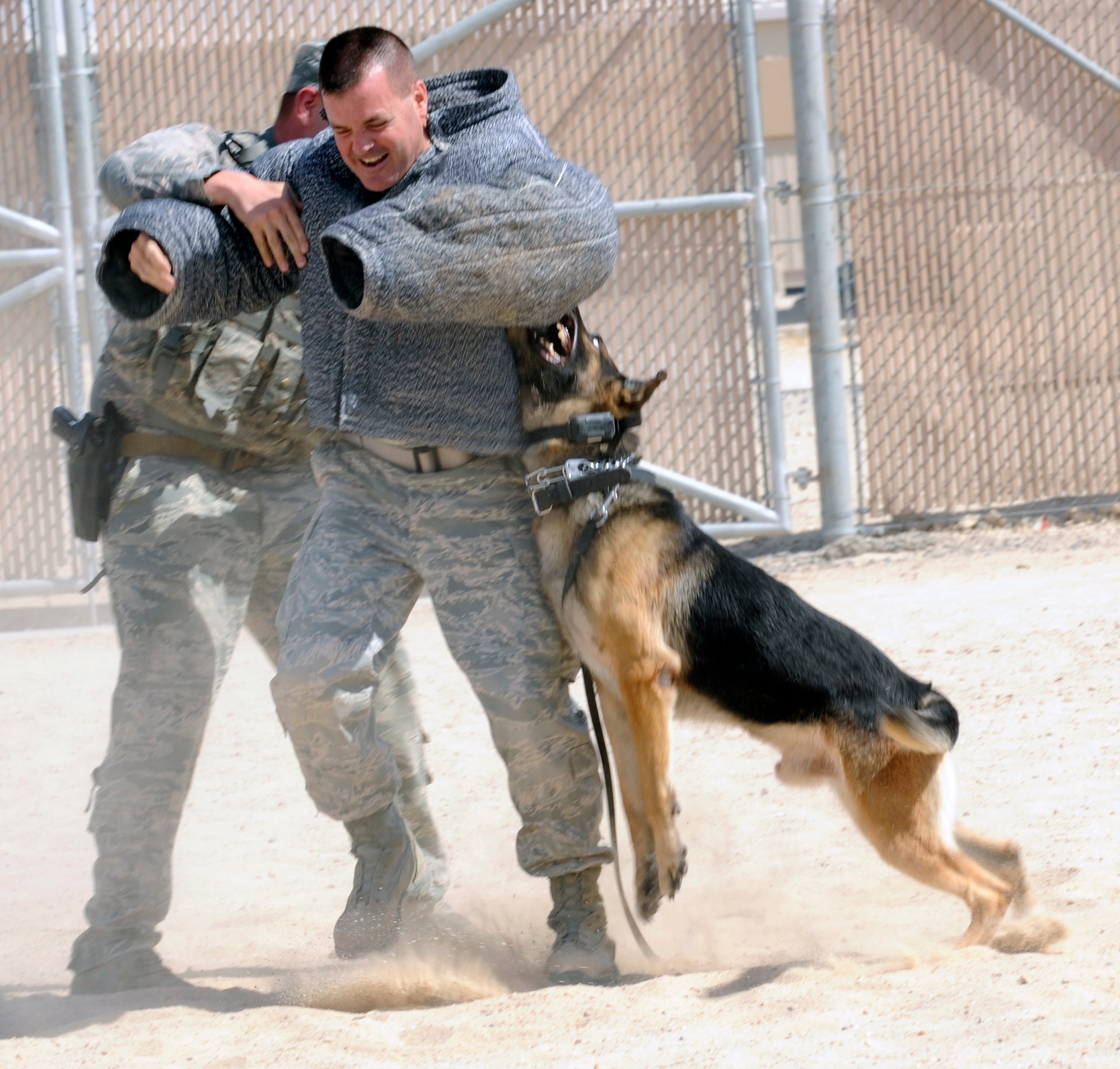 SOUTHWEST ASIA – Tech. Sgt. Charles Dalton, 386th Expeditionary Security Forces Squadron military working dog handler, oversees his MWD Benga attack Col. Joseph Martin, 386th Expeditionary Mission Support Group commander, here July 11. Martin put on protective gear to become a mock victim to train the MWDs on procedures and obedience. (U.S. Air Force photo/Staff Sgt. Alexandra M. Boutte)
