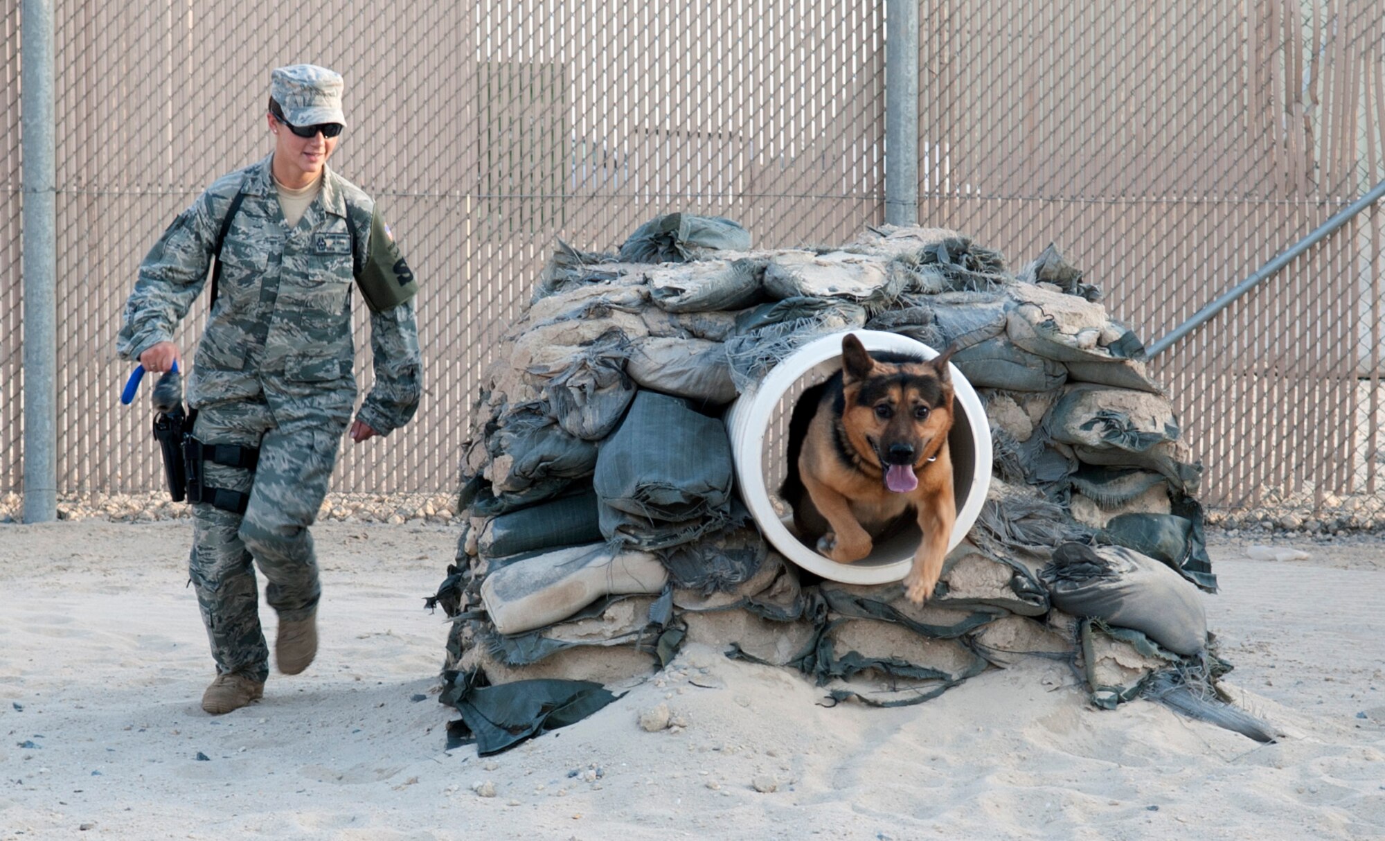 SOUTHWEST ASIA – Senior Airman Jamie Harkin, 386th Expeditionary Security Forces Squadron military working dog handler, directs her dog, Erdo, through the tunnel during the obstacle course exercise here July 20. (U.S. Air Force photo/Staff Sgt. Alexandra M. Boutte)