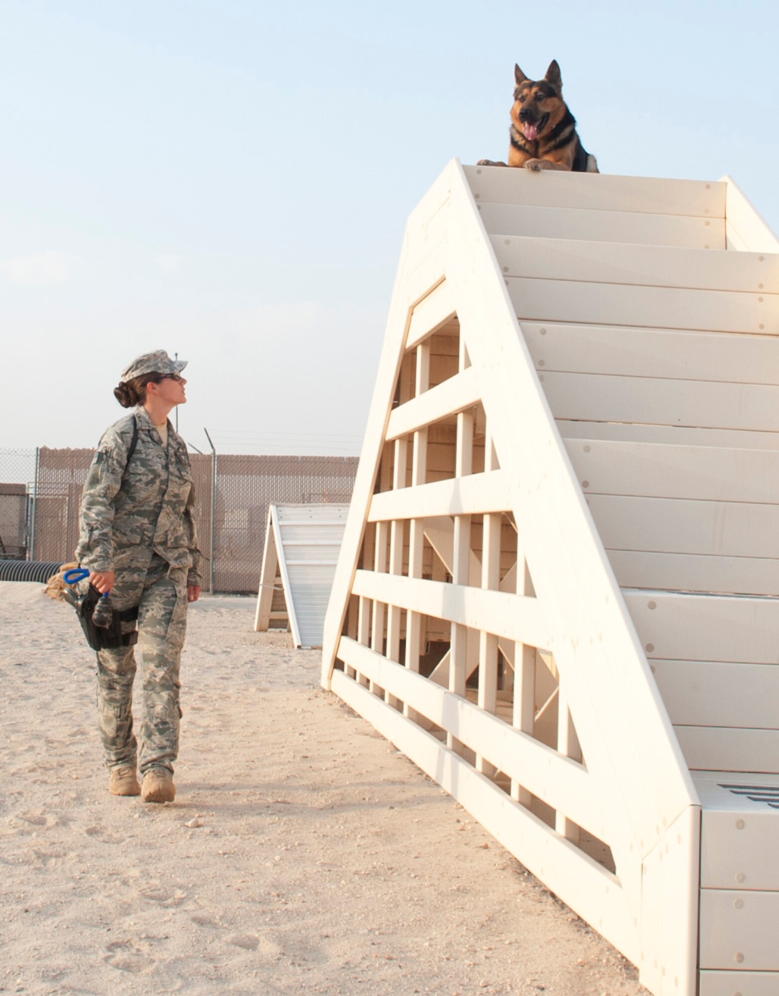 SOUTHWEST ASIA – Senior Airman Jamie Harkin, 386th Expeditionary Security Forces Squadron military working dog handler, guides her dog, Erdo, up the stairs through the obstacle course here July 20. (U.S. Air Force photo/Staff Sgt. Alexandra M. Boutte)
