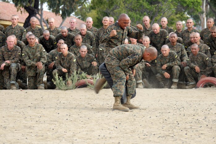 Drill instructors with Company H, 2nd Recruit Training Battalion, demonstrate a round house kick for their recruits during the Combat Conditioning Exercise Aug. 1 aboard Marine Corps Recruit Depot San Diego. The CCX allows recruits to practice Marine Corps Martial Arts Program techniques properly while being in a stressful environment.