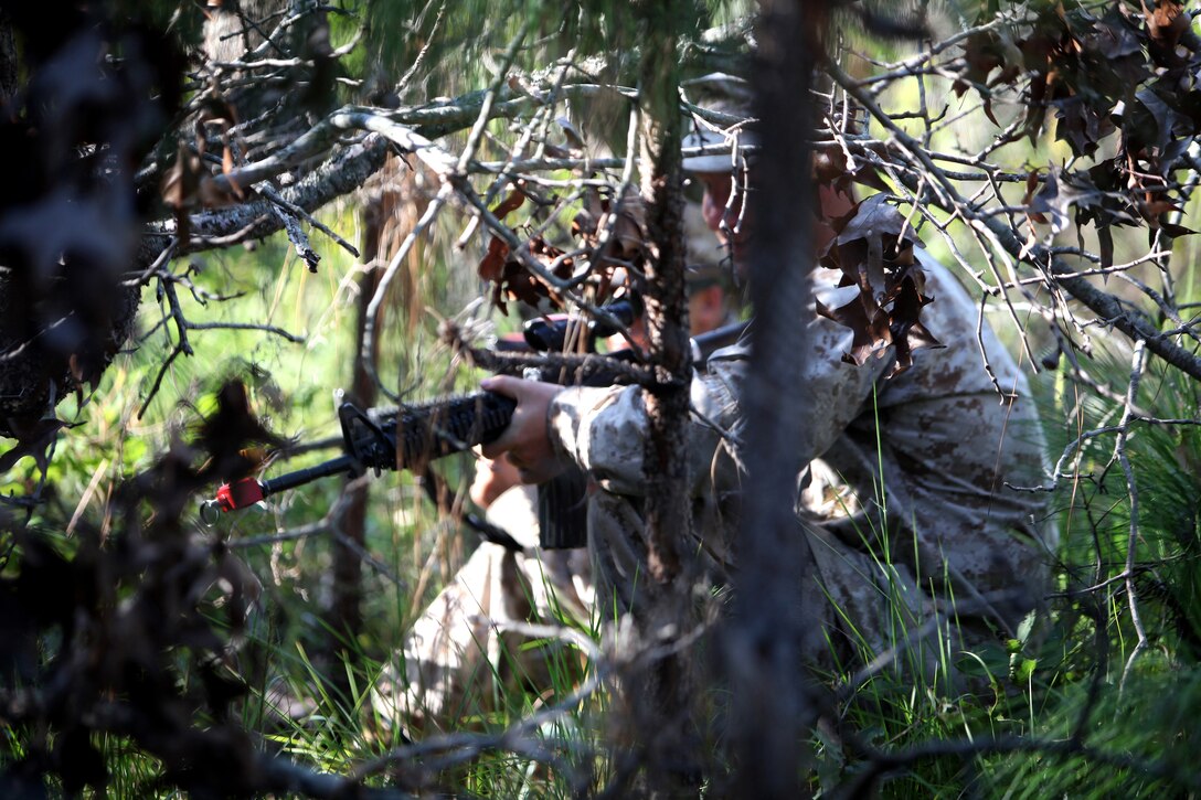 Two servicemembers with Combat Logistics Battalion 8, 2nd Marine Logistics Group, who were acting as enemy combatants, wait in the tree line for troops to pass by during a field training exercise aboard Camp Lejeune, N.C., Aug. 1, 2012.  The role players’ responsibility was to simulate an attack on their fellow troops.  The week-long exercise is part of the battalion’s pre-deployment training designed to prepare the troops for Afghanistan.  