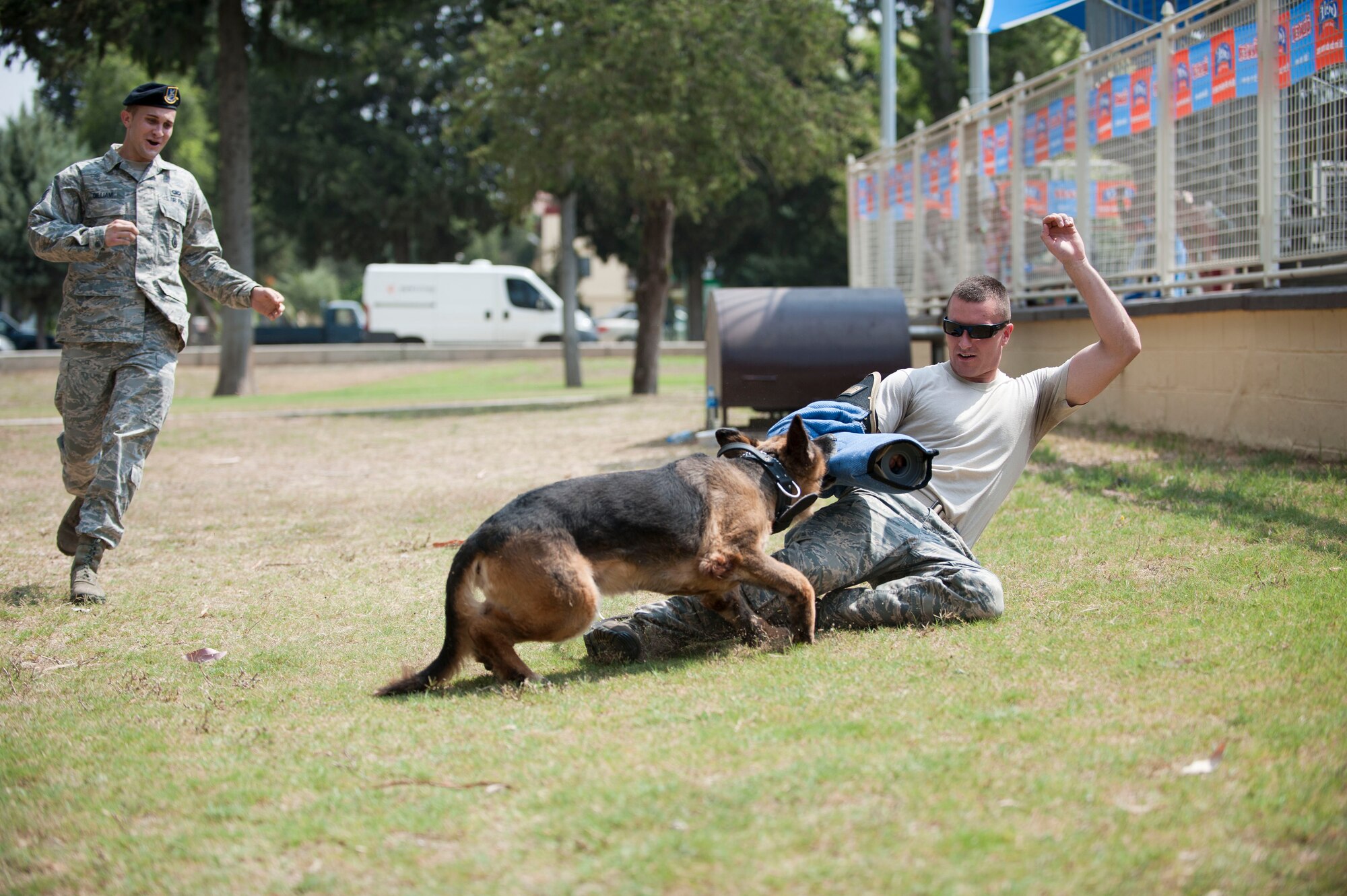 A military working dog takes down a perpetrator during an Operation Deployment demonstration Aug. 3, 2012, at Incirlik Air Base, Turkey. The event gave children and spouses of service members the opportunity to learn about the deployment process. Almost 200 people participated in the event. (U.S. Air Force photo by Senior Airman Clayton Lenhardt/Released)