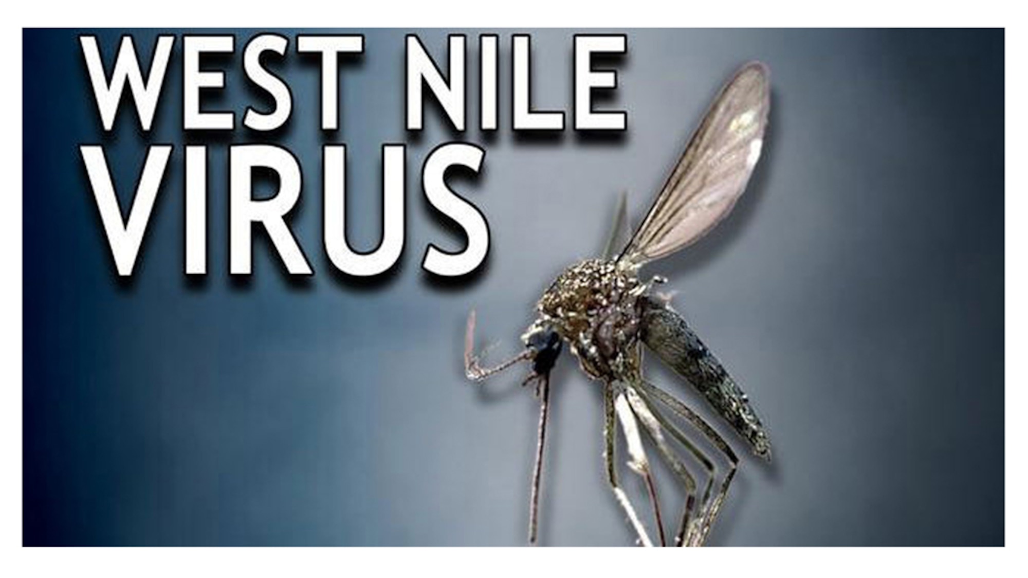 Many mosquito problems can be reduced by eliminating breeding sites of standing water and emptying containers that hold water. (Courtesy of Onondaga County, N.Y., Health Department)
