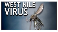 Many mosquito problems can be reduced by eliminating breeding sites of standing water and emptying containers that hold water. (Courtesy of Onondaga County, N.Y., Health Department)
