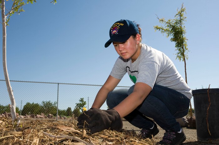 U.S. Air Force Senior Airman Katherine Pendergast, 99th Dental Squadron dental assistant, spreads mulch around a tree during a volunteer tree planting at Veterans Memorial Park Aug. 2, 2012, in Boulder City, Nev. The 25-acre Veterans Memorial Park features four lighted multi-use ballfields, two beach volleyball courts, a fishing pond, a model boat pond, soccer fields, a skateboard and bike park, and acres of open green space. (U.S. Air Force photo by Airman 1st Class Christopher Tam)