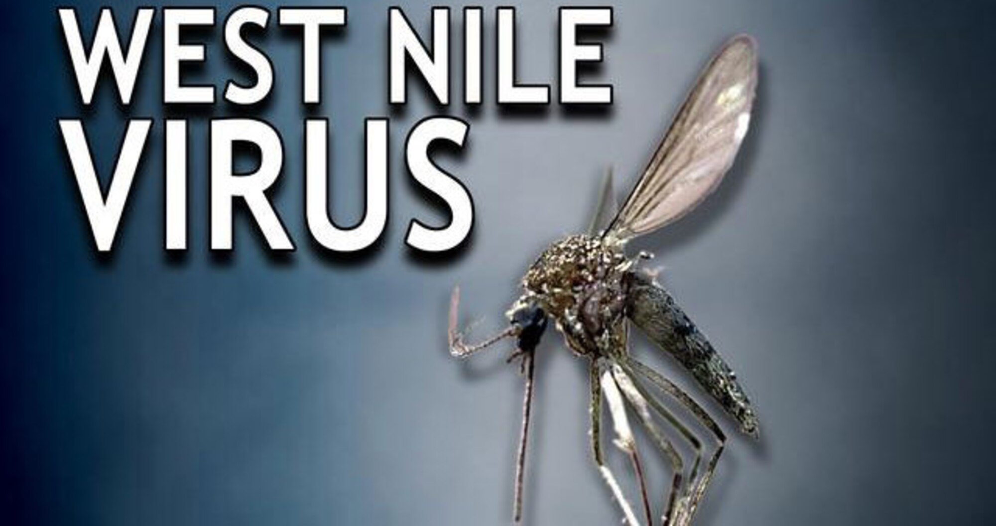 Many mosquito problems can be reduced by eliminating breeding sites of standing water and emptying containers that hold water.