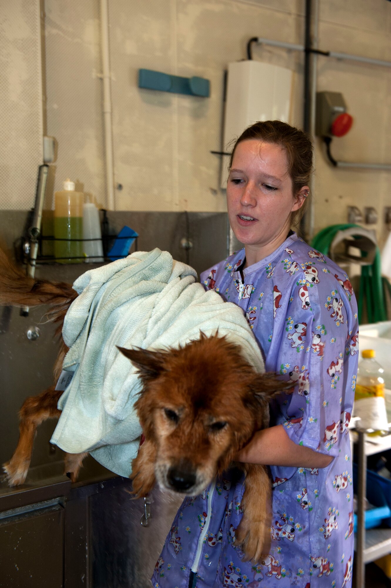 OBERWEIS, Germany – Kelli Makara, 52nd Force Support Squadron Pet Spa groomer, lifts Suni, shepherd mix, out of a tub at the pet spa here Aug. 8.  Makara offers her grooming services from 8 a.m. – 2 p.m. every Wednesday.  Full service includes bath, nail trimming, ear cleaning and haircut with prices ranging from $50 - $65.  For more information, call the pet spa at DSN 452-9362 or 06565-61-9362. (U.S. Air Force photo by Airman 1st Class Gustavo Castillo/Released)