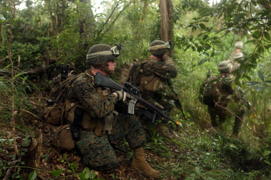 COMBAT TOWN, Okinawa, Japan - Marines with Company G., Battalion Landing Team 2nd Battalion, 1st Marine Regiment, 31st Marine Expeditionary Unit, conceal themselves in the tree line on the outskirts of an enemy-held town here, Aug. 9. Inserting via CH-46E Sea Knight helicopters with Marine Medium Helicopter Squadron 262 (Reinforced), the Marines raided the notional town, neutralizing all enemy personnel and capturing a high-value individual. The 31st MEU is the only continuously forward-deployed MEU and is the Marine Corps' Force in readiness in the Asia-Pacific region.