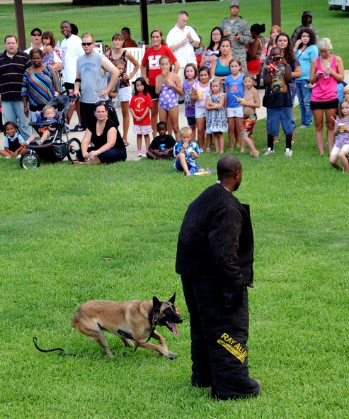 Mila, 2nd Security Forces Squadron military working dog runs at Senior Airman Demarcus Oguin, 2 SFS dog handler, during a K-9 demonstration for the annual National Night Out on Barksdale Air Force Base, La., Aug 7. Military working dogs on a daily basis sharpen their skills as they are trained to patrol base entry points, vehicles and installations for hazardous materials and contraband. (U.S. Air Force photo/ Senior Airman La'Shanette V. Garrett)(RELEASED)
