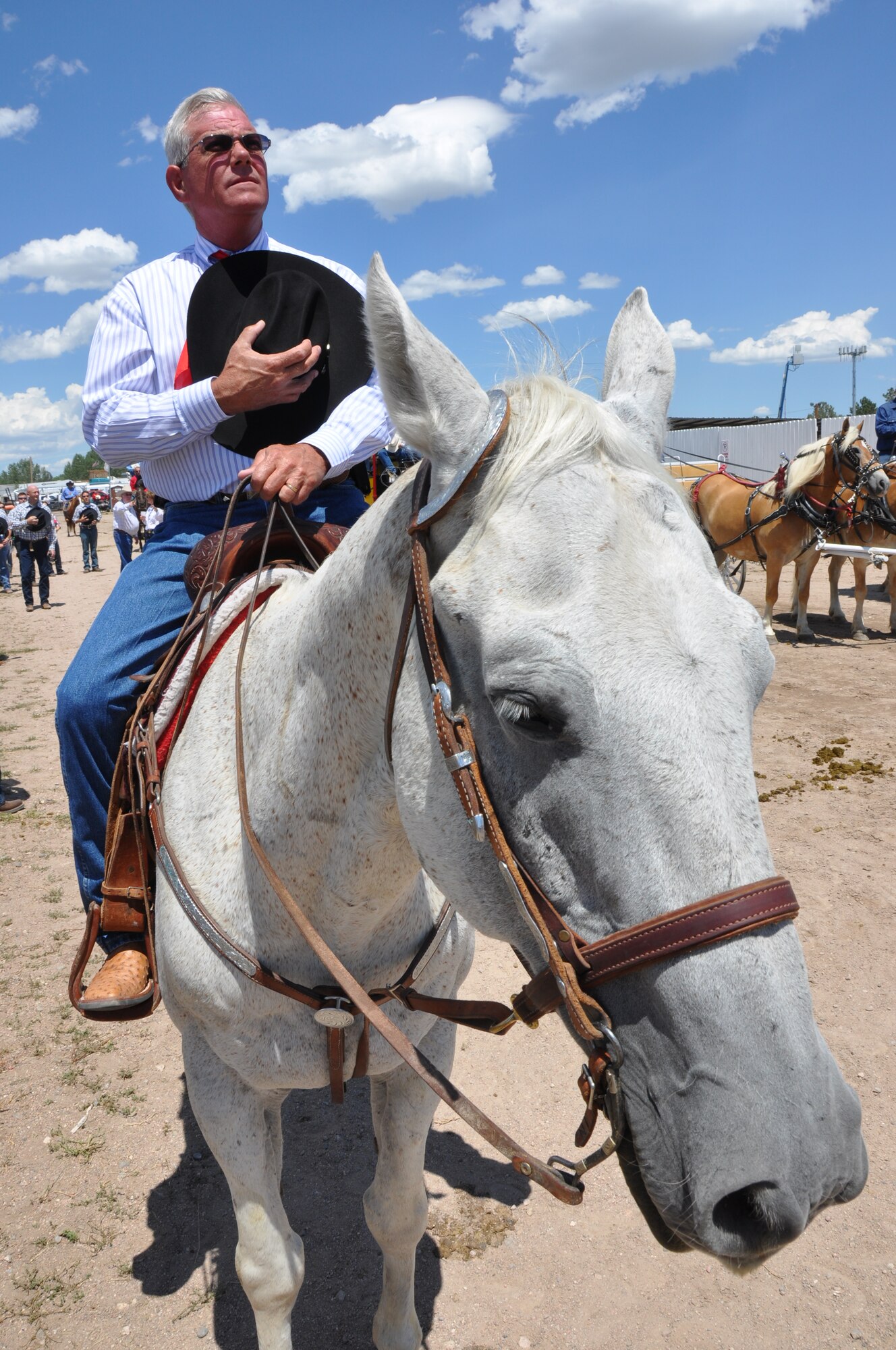 Col. Pat Moffett, commander of the 153rd Maintenance Group, Wyoming Air National Guard, sits atop his horse as he renders honors during the singing of the Star Spangled Banner at Frontier Park, in Cheyenne, Wyo., during the Cheyenne Frontier Days rodeo, July 23, 2012. Moffett is one of 10 volunteer committee chairmen for the rodeo. His committee oversees the booking and care for the entertainers and bull riders. (Wyoming National Guard Photo by 1st Lt. Christian Venhuizen)
