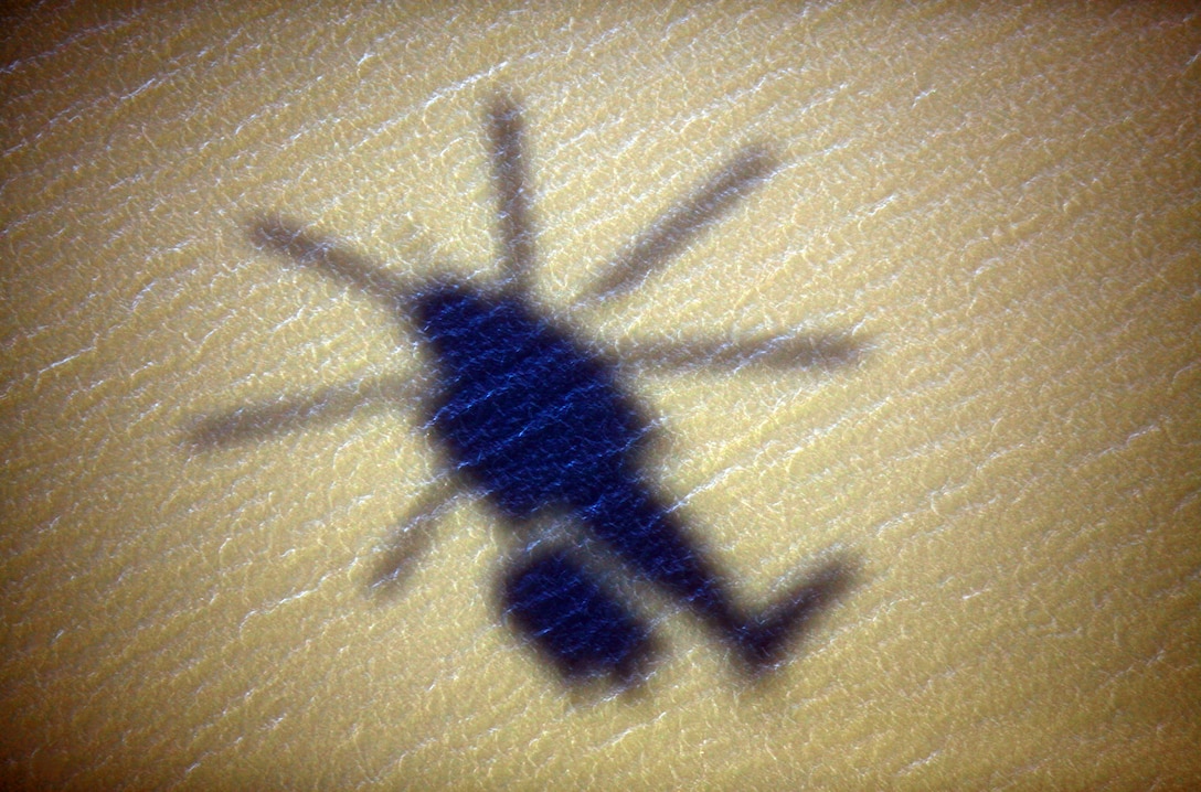 A CH-53E Super Stallion from Marine Heavy Helicopter Squadron 366 out of Cherry Point, N.C., prepares to drop a section of an improved ribbon bridge during a training exercise with 8th Enginner Support Battalion, 2nd Marine Logistics Group aboard Camp Lejeune, N.C., Aug. 8, 2012. It marked the first time in 10 years that Bridge Company, 8th ESB collaborated with elements of th 2nd Marine Aircraft Wing to open and construct a collapsable raft while already in water. (U.S. Marine Corps photo by Pvt. Franklin E. Mercado)