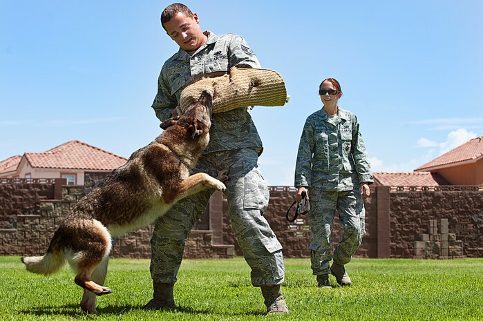 Senior Airman Corbin Carlson and Staff Sgt. Janna McDonald, 99th Security Forces Squadron military working dog handlers, train Elza, a military working dog, Aug. 13, 2012, at Nellis Air Force Base, Nev. Carlson and McDonald use a variety of commands to keep dogs ready for any situation. (U.S. Air Force photo by Airman 1st Class Jason Couillard)