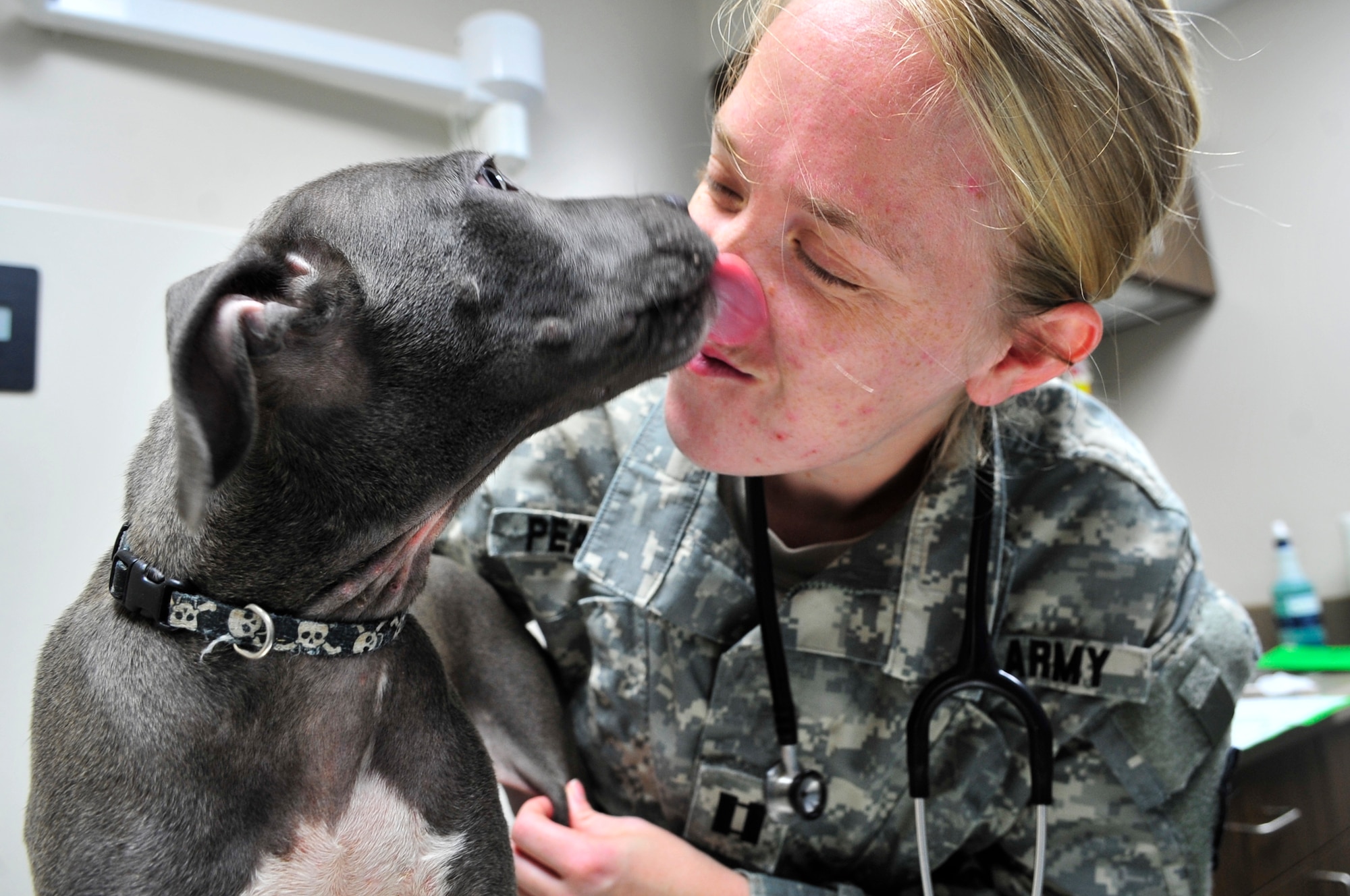 Rocco, a pit bull mix puppy licks the face of U.S. Army Capt. Emily Pearman, Fort Gordon Public Health Command district veterinarian, during a wellness check at the veterinary services, Shaw Air Force Base, S.C., August 8, 2012.  The clinic at Shaw currently has 2,500 active patient records and has been open since Feb. 2011.(U.S. Air Force photo by Airman Nicole Sikorski/Released)