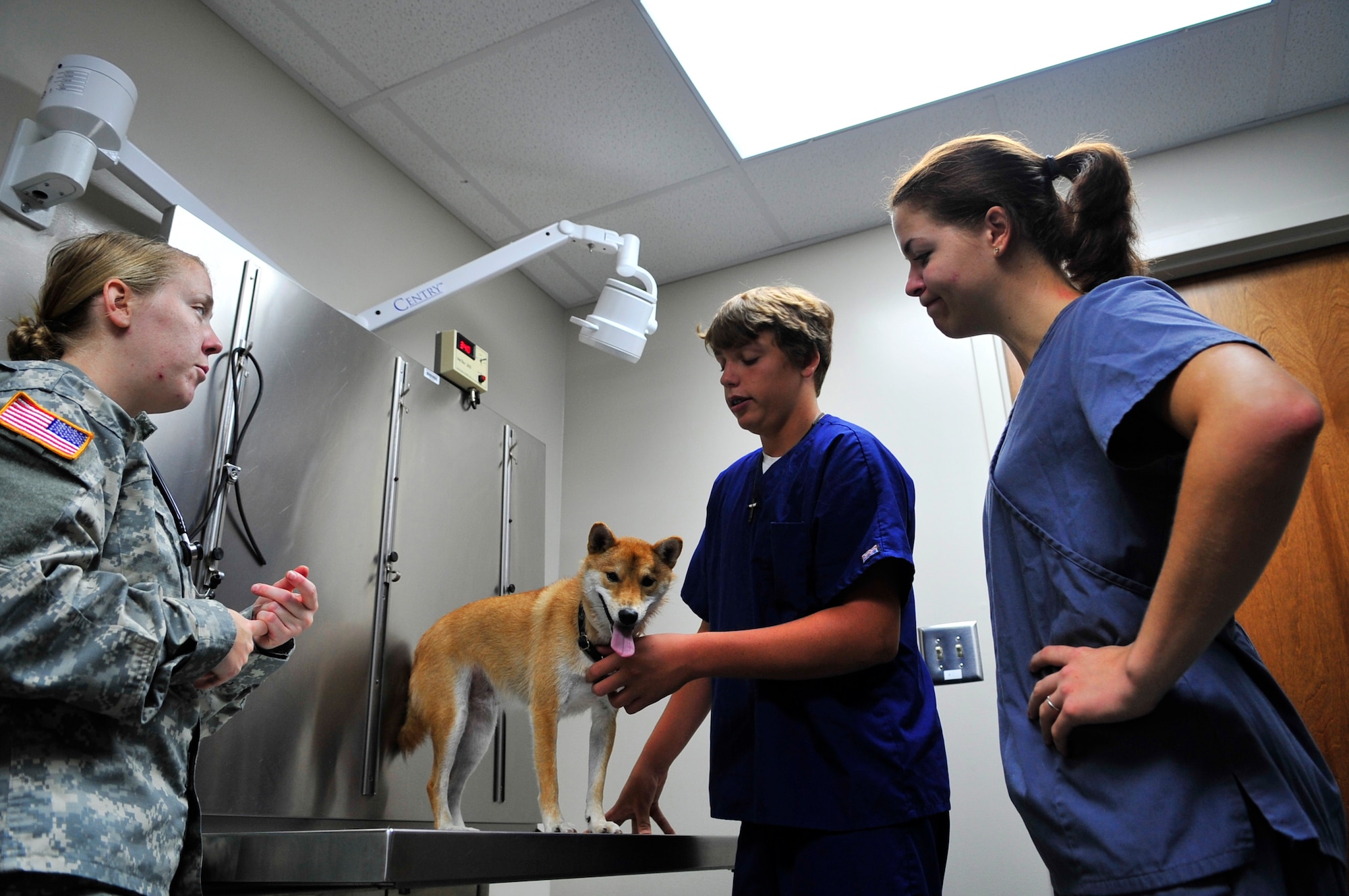 U.S. Army Capt. Emily Pearman, Fort Gordon Public Health Command district veterinarian, trains volunteers during a health and wellness check at the veterinary services, Shaw Air Force Base, S.C., Aug. 8, 2012.  The clinic currently has 2,500 active patient records and has been open since Feb. 2011.(U.S. Air Force photo by Airman Nicole Sikorski/Released)