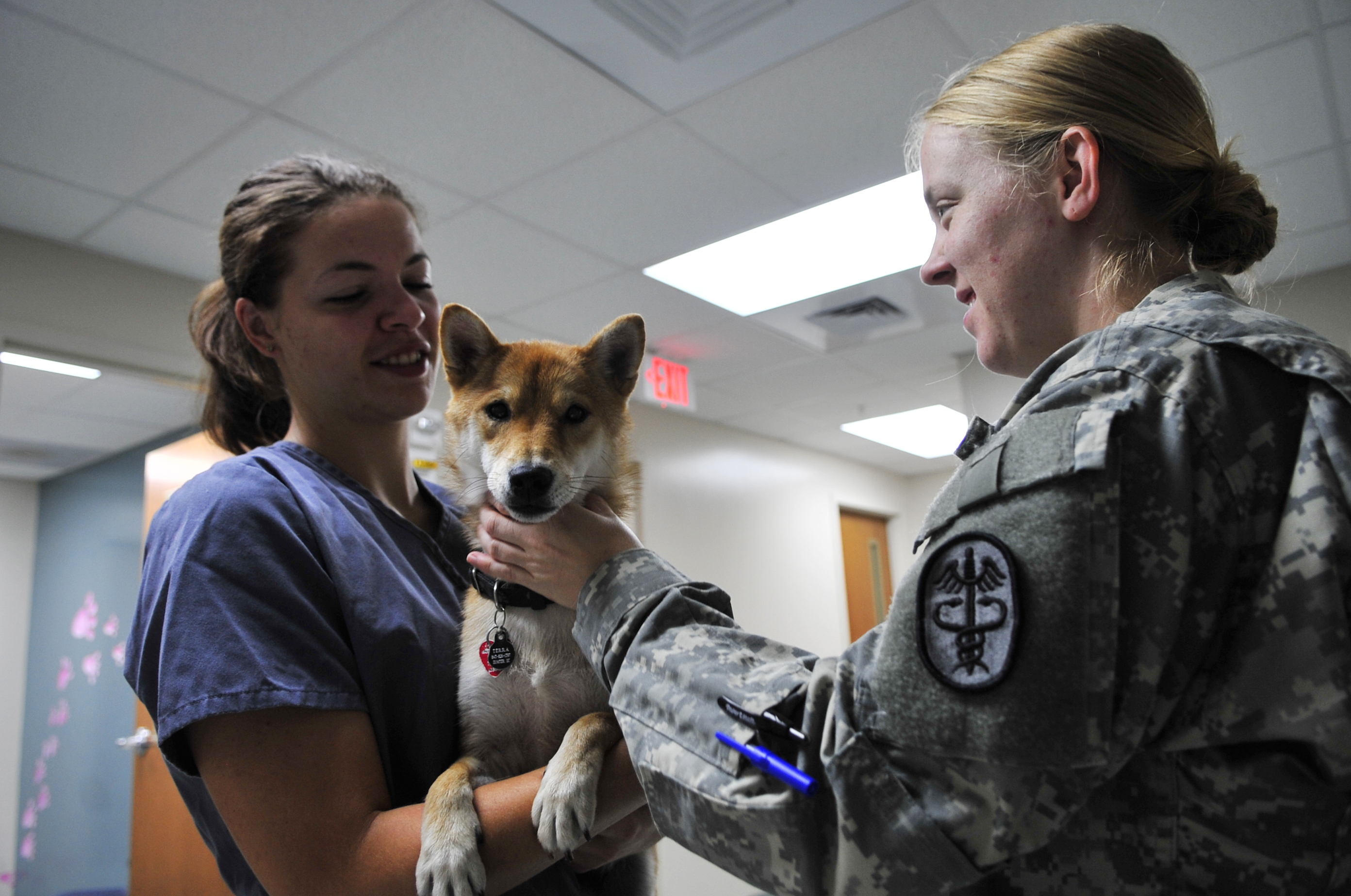 Shaw vet clinic cares for pets > Shaw Air Force Base > Article Display