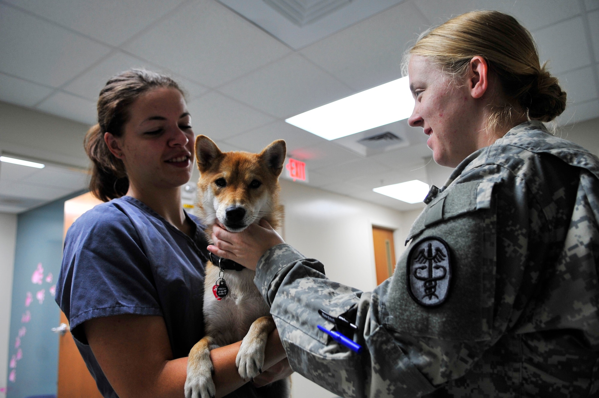 U.S. Army Capt. Emily Pearman, Fort Gordon Public Health Command district veterinarian, gives a health and wellness check to a dog at the veterinary services, Shaw Air Force Base, S.C., Aug. 8, 2012.  The clinic currently has 2,500 active patient records and has been open since Feb. 2011.(U.S. Air Force photo by Airman Nicole Sikorski/Released)