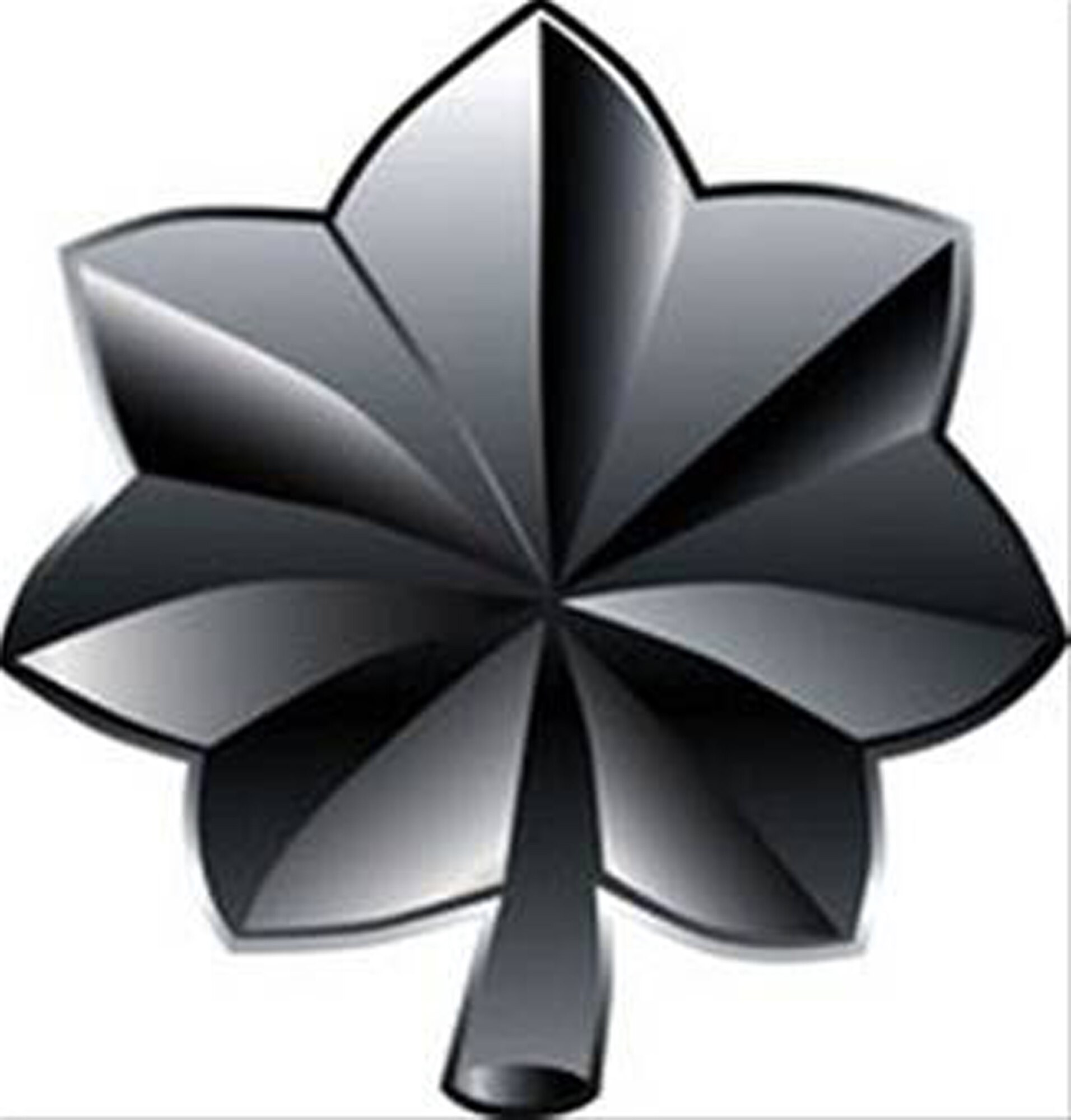 WRIGHT-PATTERSON AIR FORCE BASE, Ohio - Eleven reservists from the 445th Airlift Wing were selected for promotion to lieutenant colonel.