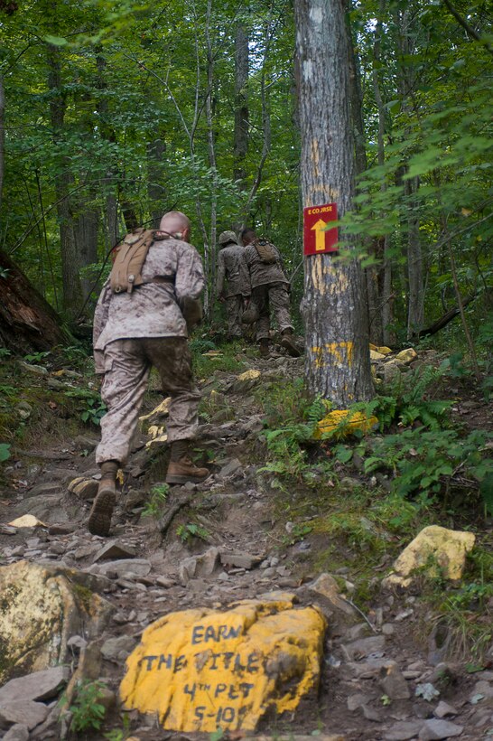 Marines with Company B climb up a steep endurance course hill during a company training exercise at Marine Corps Base Quantico, Va., Aug. 15. The operation consisted of land navigation, negotiating an obstacle course while wearing a flak jacket and helmet, completing a 5-mile endurance course with scattered obstacles, and weapons assembly and disassembly with machine guns, pistols, and rifles.
