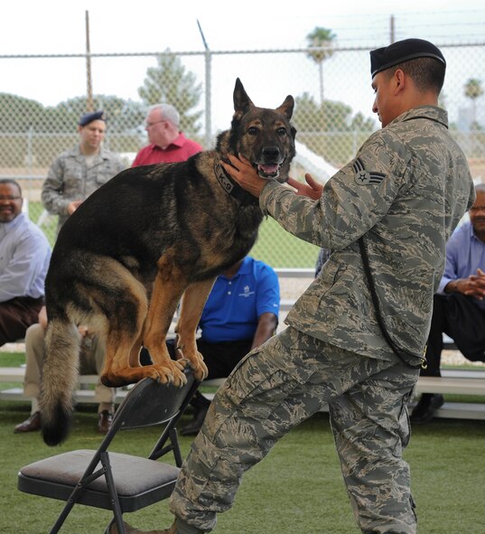 Senior Airman Justin Lopez, 56th Security Forces Squadron military working dog handler, demonstrates how his dog Oscar, 56th SFS military working dog, can balance all four paws on a small object at Luke Air Force Base July 30. The kennels at Luke were opened in May 2011 and were the first kennels to go green in the Department of Defense. The facility is worth 1.7 million dollars.   (U.S. Air Force photo by Staff Sgt. Darlene Seltmann)