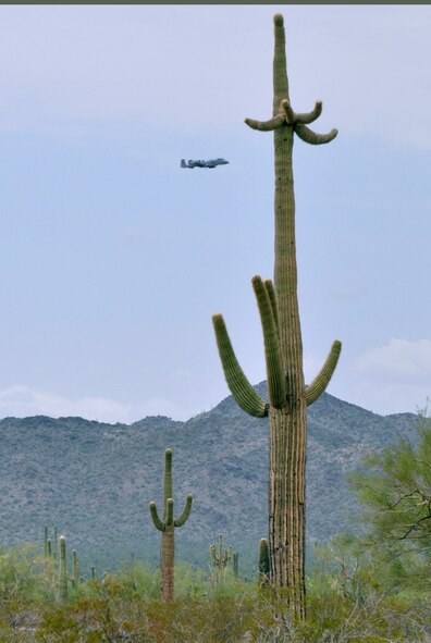 SONORAN DESERT, AZ - An A-10 Thunderbolt II flies over the Sonoran Desert on return from the Barry M. Goldwater range complex during the Hawgsmoke A-10 gunnery competition, Aug. 16, 2012. Hawgsmoke is an international biennial competition, with 60 aircraft from 17 A-10 units competing. The host unit was Davis-Monthan Air Force Base, Ariz. (U.S. Air Force photo by Staff Sgt. Lauren Padden/Released)