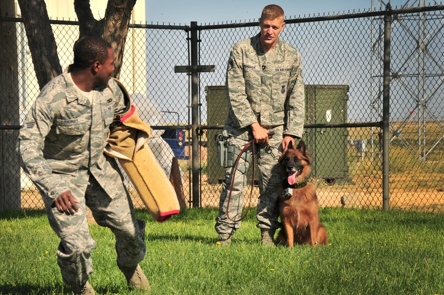 U.S. Air Force Senior Airman Christopher Thomas and Staff Sgt. Joshua Fehringer, 27th Special Operations Security Forces Squadron K9 handlers, work with Military Working Dog Suk on aggression training at Cannon Air Force Base, N.M., Aug. 15, 2012. Aggression training is used to simulate situations a MWD may face in the field. (U.S. Air Force photo/ Airman 1st Class Xavier Lockley)