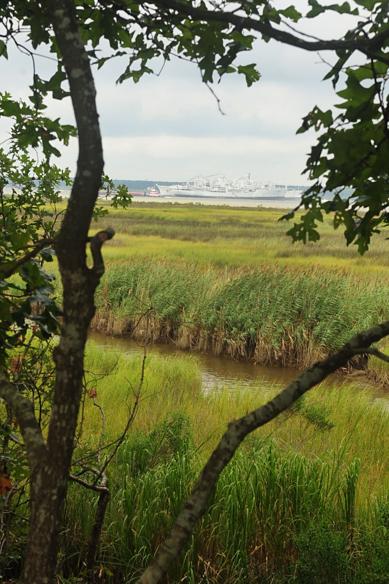 A view of the James River is seen from an old Fort Crafford cannon position at Fort Eustis, Va., Aug. 10, 2012. The Confederate States Army built a pentagon-shaped defensive position around the eight-acre family farm house, offering Confederate troops advantageous firing positions overlooking the James River and inland. (U.S. Air Force photo by Staff Sgt. Ashley Hawkins/Released)