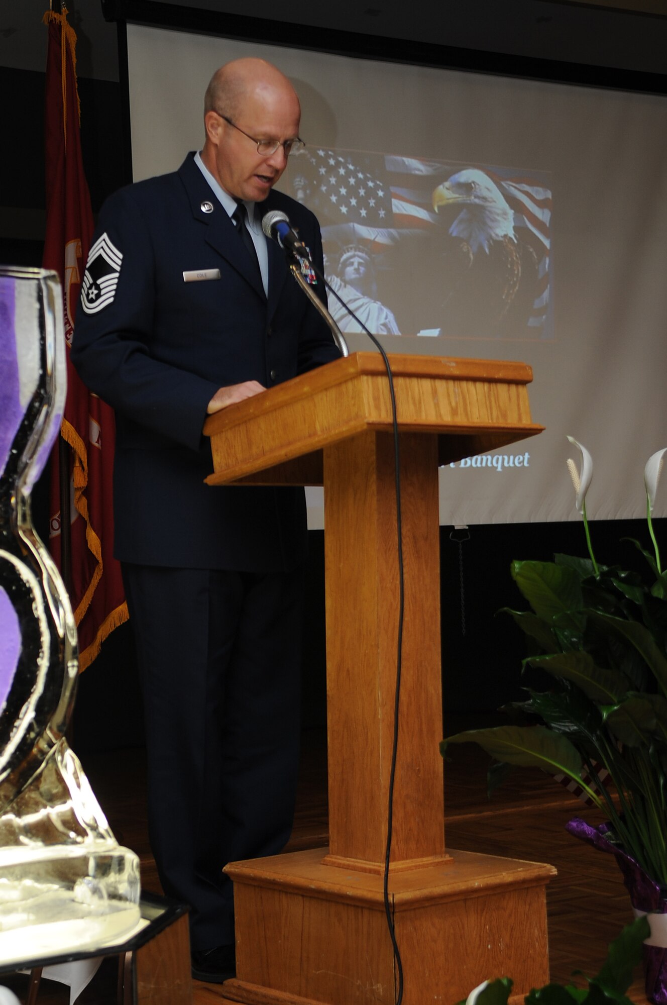 U.S. Air Force Chief Master Sgt. Todd Cole, 4th Operations Group superintendent, speaks to a crowd of more than 300 people during the Purple Heart Banquet at the Walnut Creek Country Club in Goldsboro, N.C., Aug. 10, 2012. Several members of Team Seymour attended the banquet in support of their fellow wingmen who were wounded while serving. (U.S. Air Force photo/Airman 1st Class Aubrey Robinson/Released)