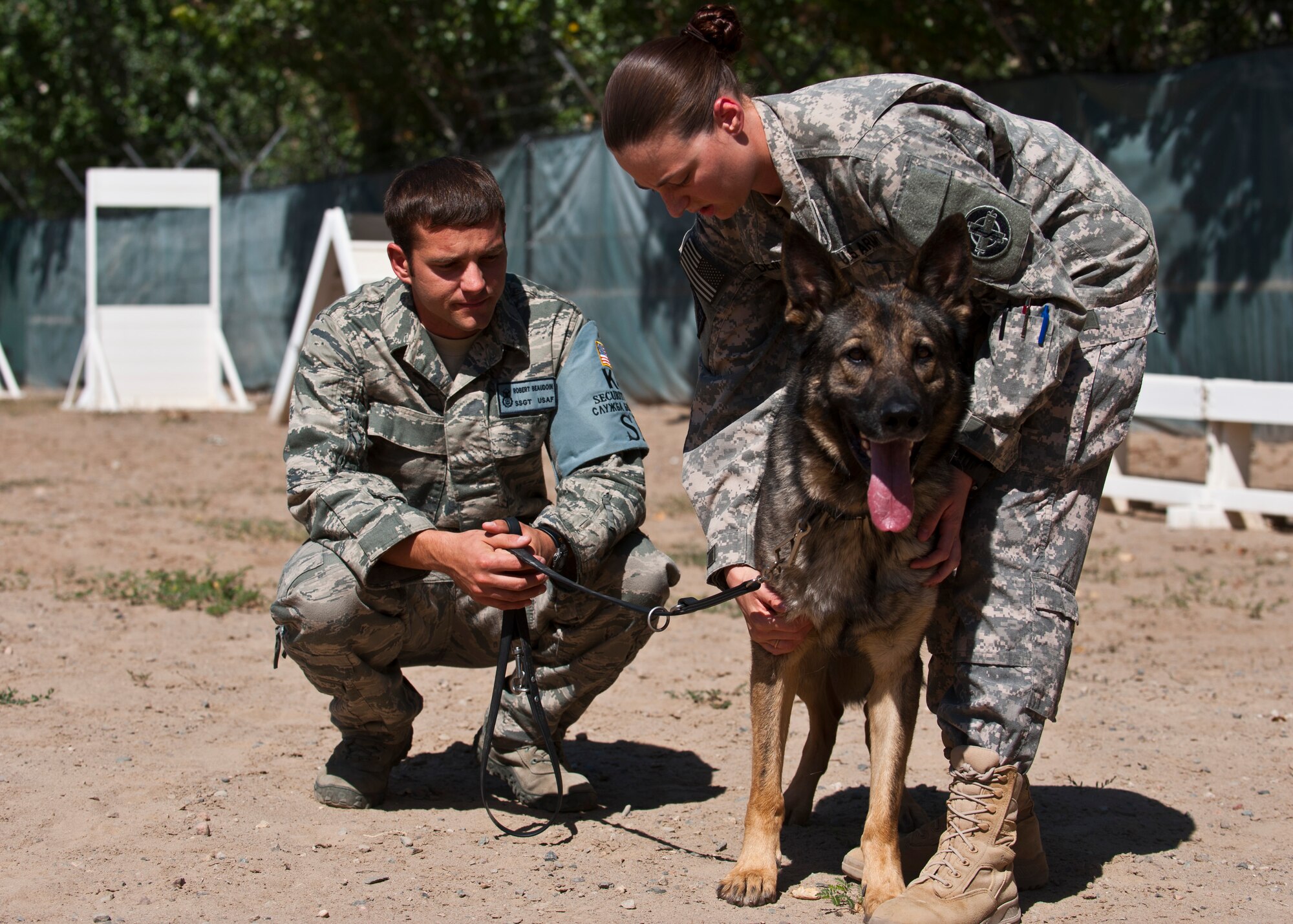 Right, Army Capt. Angela Demaree, performs a follow-up exam on Military Working Dog Celo as his handler, Staff Sgt. Robert Beaudoin, looks on, Transit Center at Manas, Kyrgyzstan, Aug 11.  Demaree checked for range of motion and any continued signs of inflammation or pain on the German Sheppard's front leg due to tendinitis. In addition to ensuring the health and well-being of all working dogs assigned to the Transit Center, Demaree also performs audits of all approved food source providers, helping to maintain food safety standards and the health of all service members stationed at the Transit Center.  Beaudoin is deployed from the 355th Security Forces Squadron at Davis Monthan AFB, Ariz.  (U.S. Air Force photo/Senior Airman Brett Clashman)