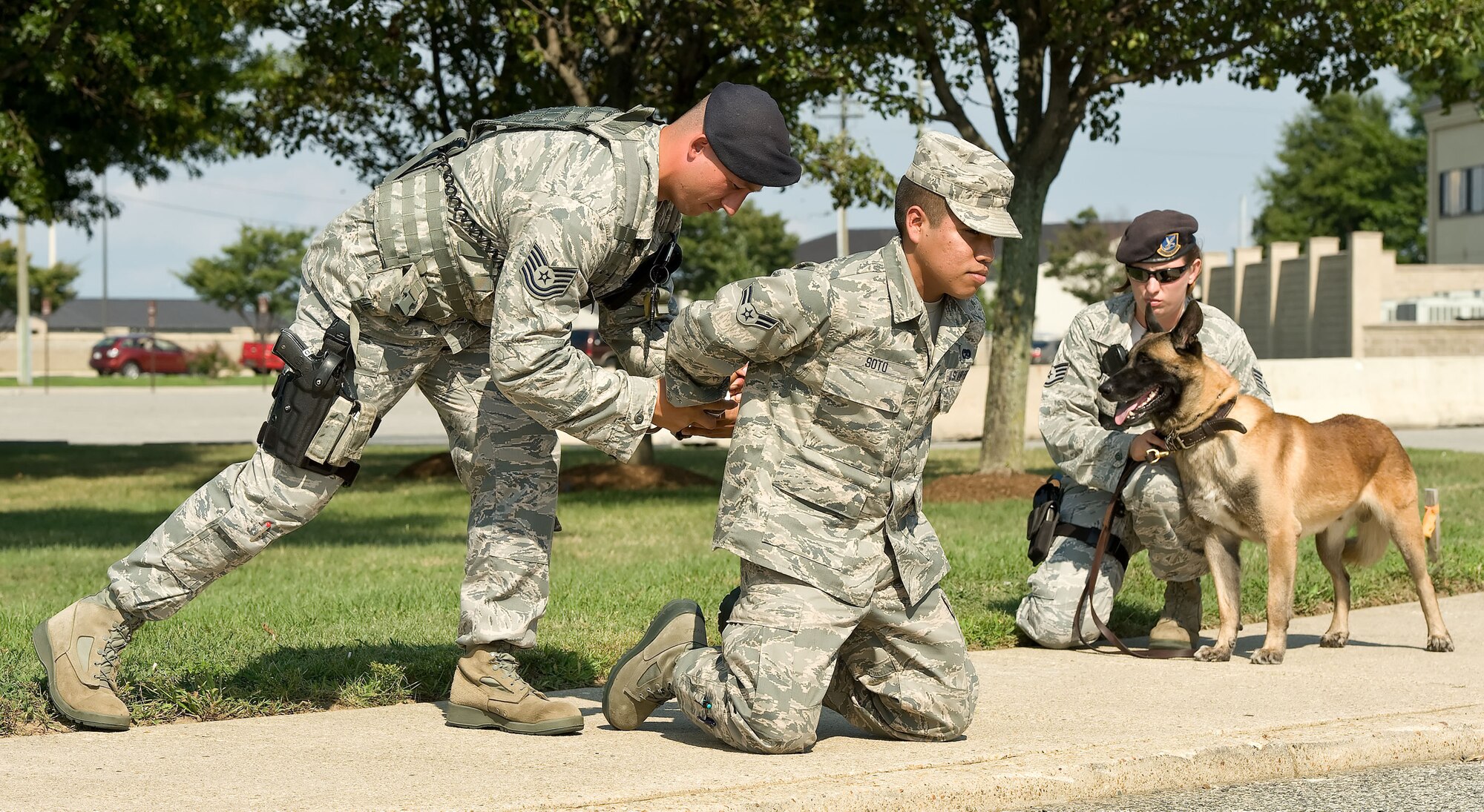 Tech. Sgt. Frederick Quick, left, and Staff Sgt. Ashley-Marie Umstead, right, along with Military Working Dog Cuervo, all with the 436th Security Forces Squadron, work together to apprehend simulated suspect Airman 1st Class Carlos Soto Aug. 20, 2012, at Dover Air Force Base, Del. A simulated robbery was part of the Aug. 20-22 Major Accident Response Exercise, held to test Team Dover's ability to respond to threats and emergencies. Dover AFB partnered with members of the local community during the MARE to strengthen cooperation and communication between emergency agencies. (U.S. Air Force photo by Roland Balik)