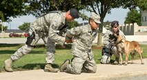 Tech. Sgt. Frederick Quick, left, and Staff Sgt. Ashley-Marie Umstead, right, along with Military Working Dog Cuervo, all with the 436th Security Forces Squadron, work together to apprehend simulated suspect Airman 1st Class Carlos Soto Aug. 20, 2012, at Dover Air Force Base, Del. A simulated robbery was part of the Aug. 20-22 Major Accident Response Exercise, held to test Team Dover's ability to respond to threats and emergencies. Dover AFB partnered with members of the local community during the MARE to strengthen cooperation and communication between emergency agencies. (U.S. Air Force photo by Roland Balik)