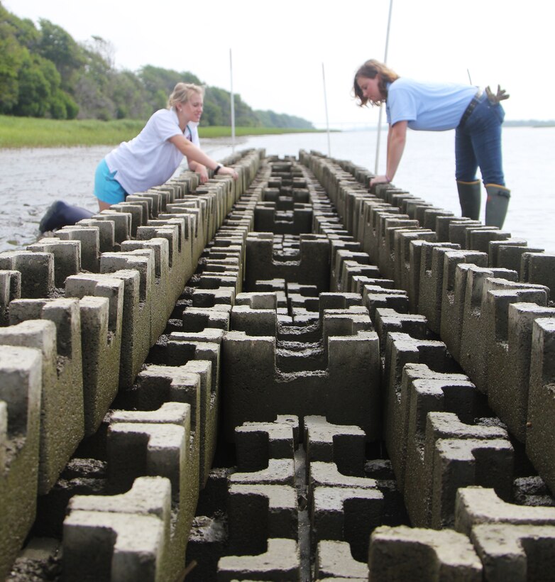 Two Charleston District employees inspect the construction of the recently completed oyster castle wall.