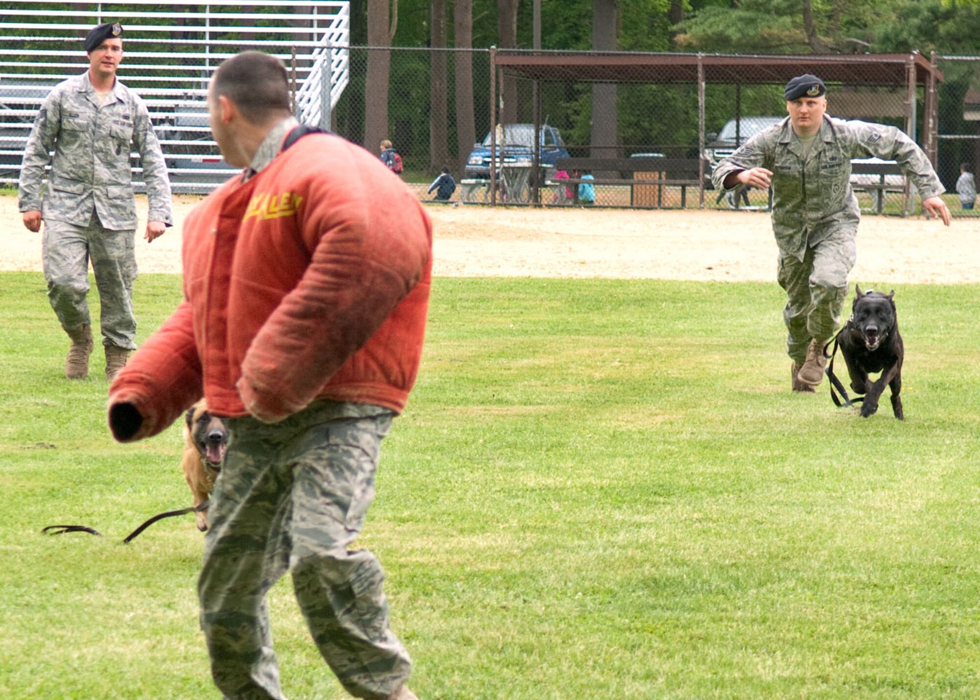 HANSCOM AIR FORCE BASE, Mass. – In a May 2010 photo, Staff Sgt. Christian Stidham (right) releases Max on Staff Sgt. Richard Crotty, acting as a decoy during a military working dog demonstration, as Senior Airman Jacob Allen looks on with his MWD Danita. Max passed away Aug. 13 after being diagnosed with a tumor last winter and old dog vestibular disease more recently. (U.S. Air Force photo by Rick Berry)