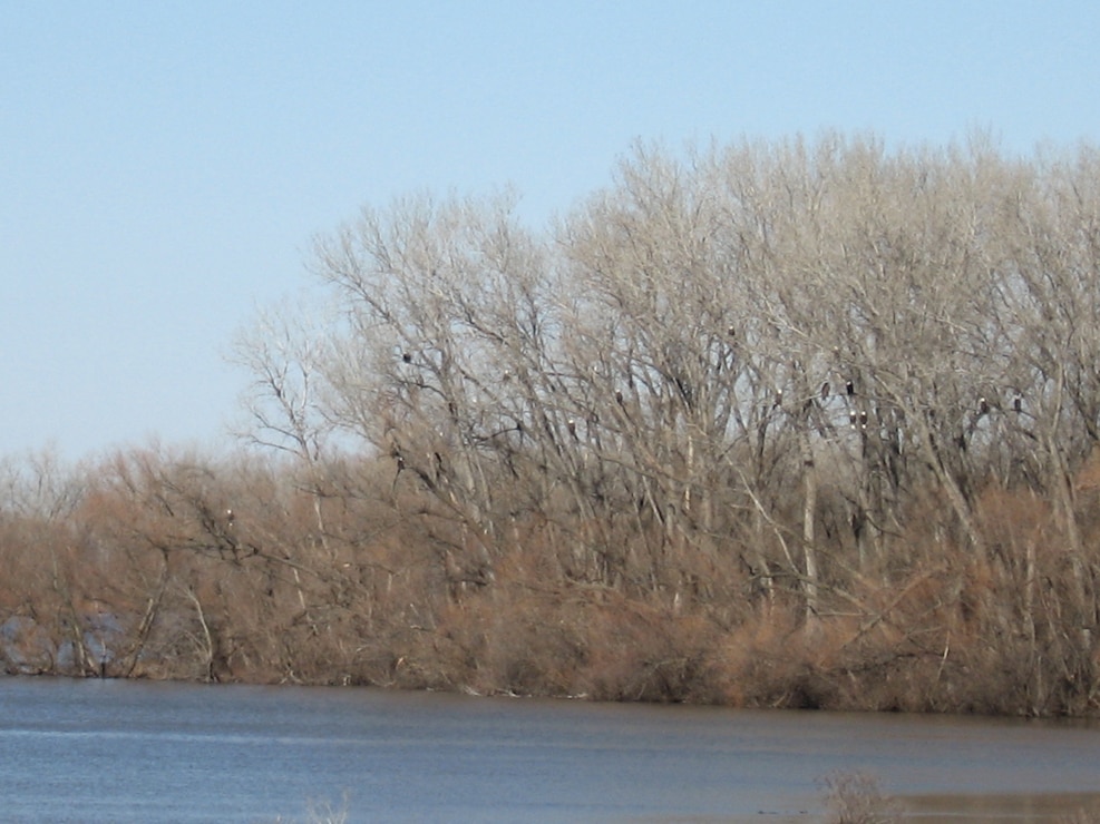 Tulsa District > Locations > Tulsa District Lakes > Kansas > Marion