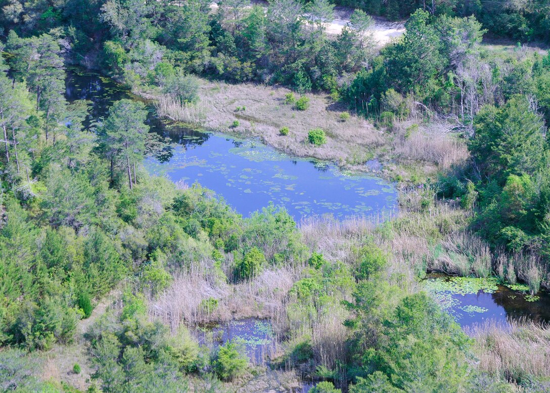 Aerial photo shows a newly constructed beaver pond that lies near an approach to a Duke Field, Fla., runway.  The 919th Special Operations Wing recently supported a request from the U.S. Department of Agriculture’s request for an aerial photography flight to document wildlife habitats that can create potential aviation hazards, such as bird strikes, at Duke Field and Eglin Air Force Base, Fla. (U.S. Air Force photo/Dan Neely)