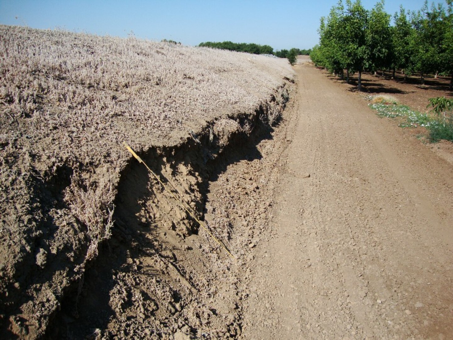 STOCKTON, Calif. — A road encroaches on the toe of a levee in the Stockton, Calif., area, shown during a levee inspection in 2010. The U.S. Army Corps of Engineers inspects levees in its Rehabilitation and Inspection Program to ensure levees don't pose an unacceptable risk to lives and to provide levee managers and residents with detailed information on the condition of levees to help them make informed decisions about safety.