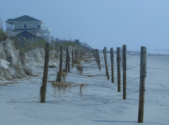 Folly Beach dunes continue to do their job of protecting homes in the event of a storm. 