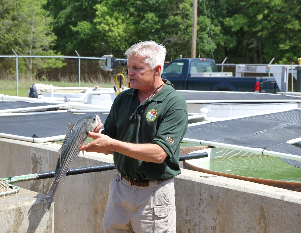 A DNR team member at our St. Stephen fish hatchery shows how they spawn fish.