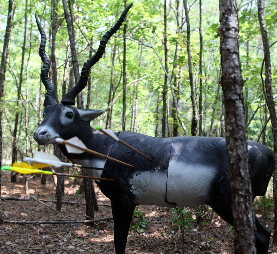 A 3-D foam target awaits removal of arrows during the Frogman 3-D Bowhunters Challenge Aug. 18 in Jacksonville, N.C. Participants where able to spend hours practicing archery while honoring the life and last wish of a fallen Navy SEAL.